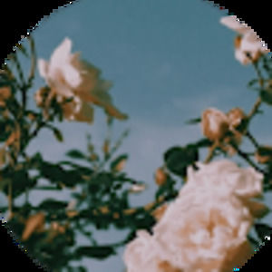 Meet your Posher, Kamora